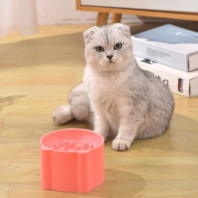 Cat slow food bowl small cat and dog anti-choking bowl neck protection design cat and dog feeding device pet supplies