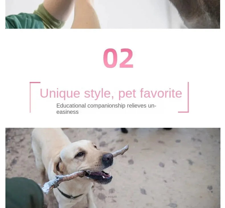 Dogs Pet Plush Dinosaur Toys Interactive Dog Chew Toys Plush Stuffing Pet Supplies Dog Toys for Small Dogs