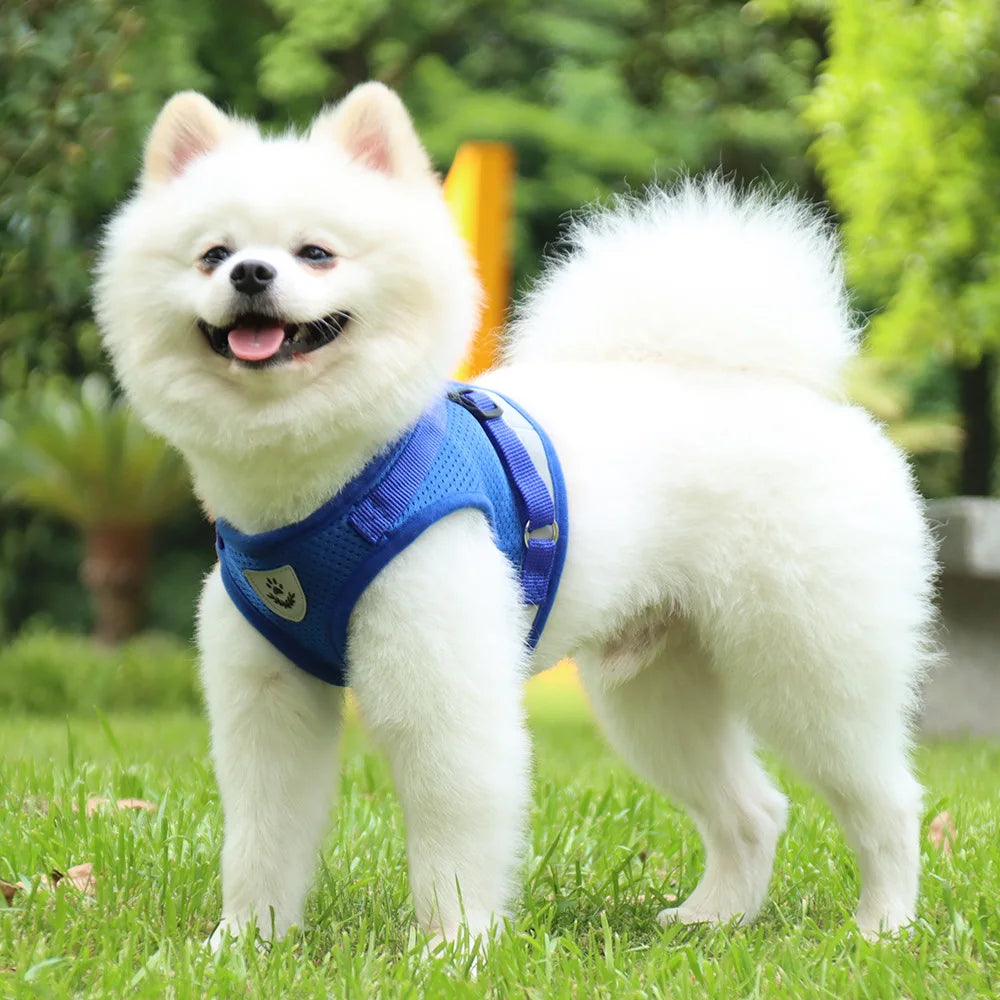 Reflective Safety Pet Dog Harness and Leash Set for Small Medium Dogs Cat Harnesses Vest Puppy Chest Strap Pug Chihuahua Bulldog